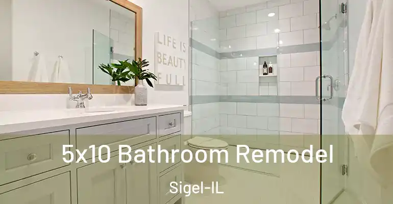 inner Bathroom imggen 5x10 Bathroom Remodel Sigel-IL