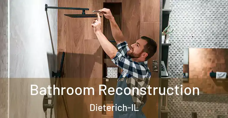 inner Bathroom imggen Bathroom Reconstruction Dieterich-IL