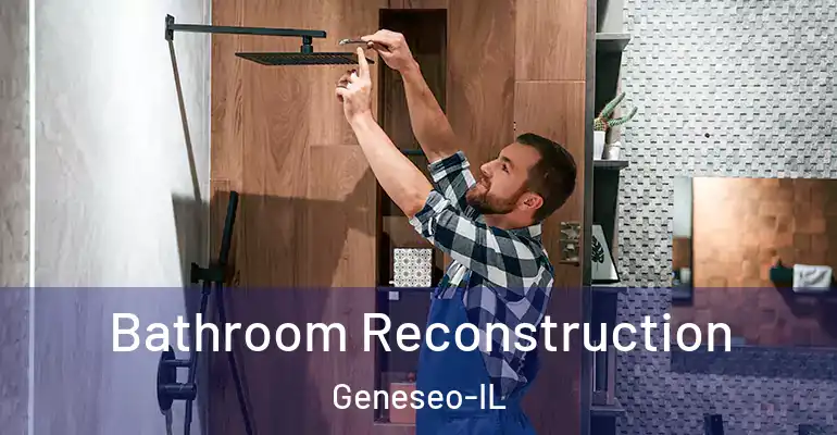 inner Bathroom imggen Bathroom Reconstruction Geneseo-IL