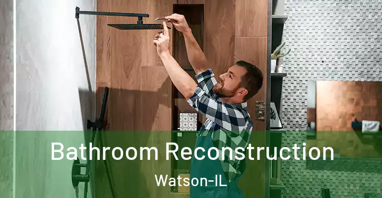 inner Bathroom imggen Bathroom Reconstruction Watson-IL