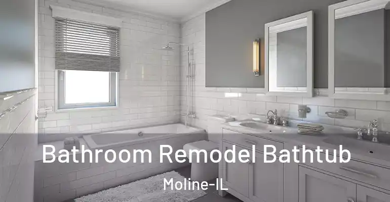 inner Bathroom imggen Bathroom Remodel Bathtub Moline-IL