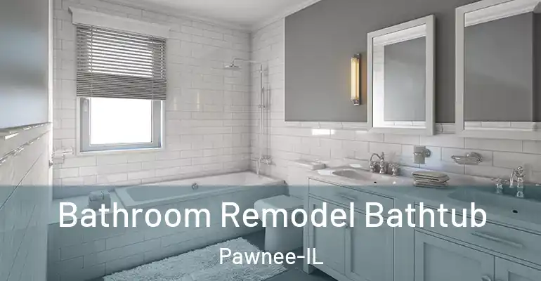 inner Bathroom imggen Bathroom Remodel Bathtub Pawnee-IL