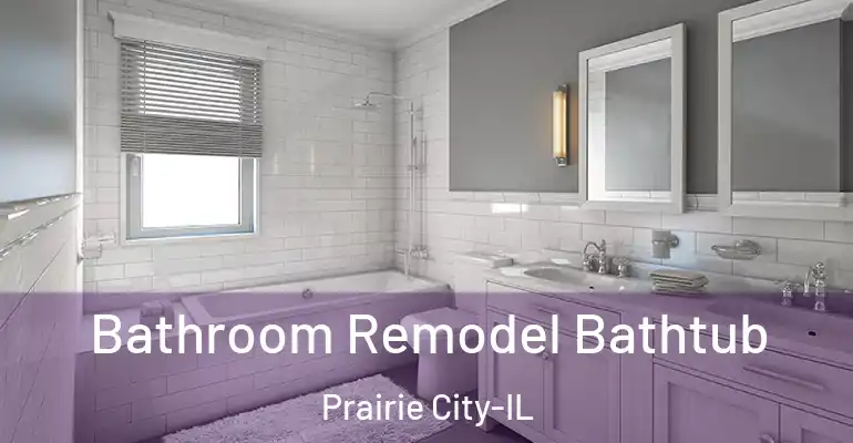 inner Bathroom imggen Bathroom Remodel Bathtub Prairie City-IL