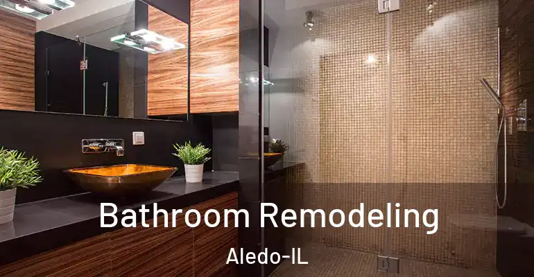 inner Bathroom imggen Bathroom Remodeling Aledo-IL