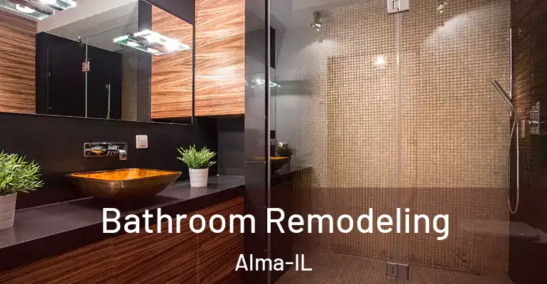 inner Bathroom imggen Bathroom Remodeling Alma-IL