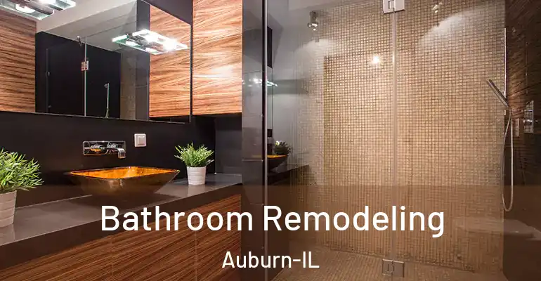 inner Bathroom imggen Bathroom Remodeling Auburn-IL