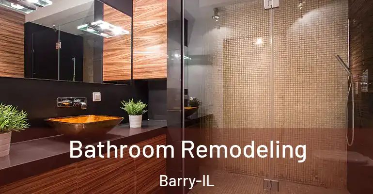 inner Bathroom imggen Bathroom Remodeling Barry-IL