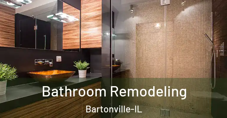 inner Bathroom imggen Bathroom Remodeling Bartonville-IL