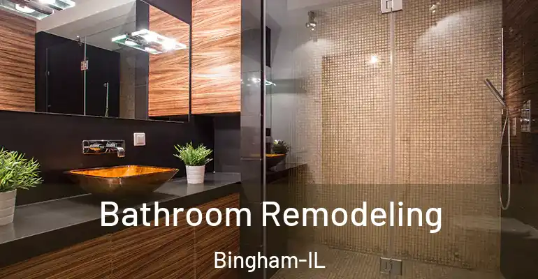 inner Bathroom imggen Bathroom Remodeling Bingham-IL
