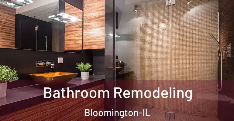 inner Bathroom imggen Bathroom Remodeling Bloomington-IL