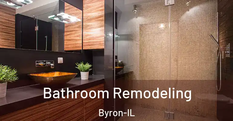 inner Bathroom imggen Bathroom Remodeling Byron-IL