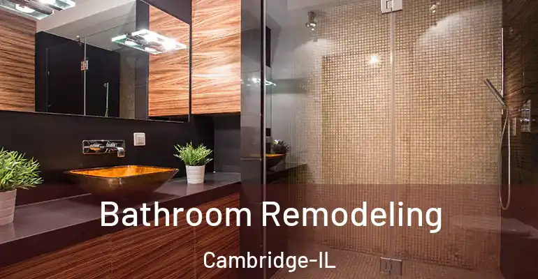 inner Bathroom imggen Bathroom Remodeling Cambridge-IL