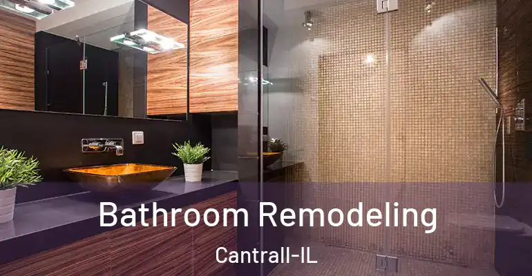 inner Bathroom imggen Bathroom Remodeling Cantrall-IL