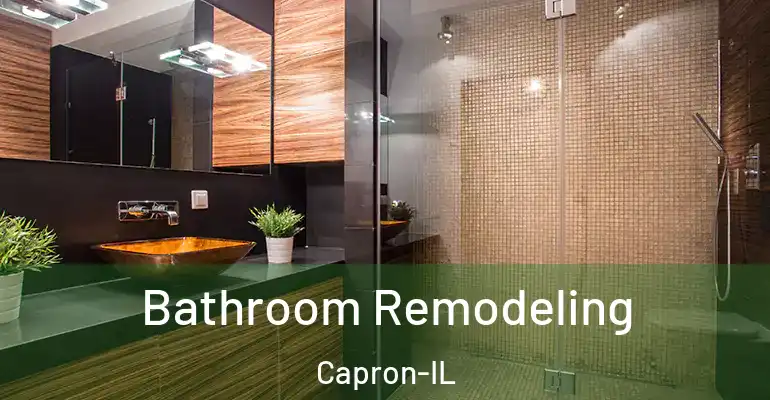 inner Bathroom imggen Bathroom Remodeling Capron-IL