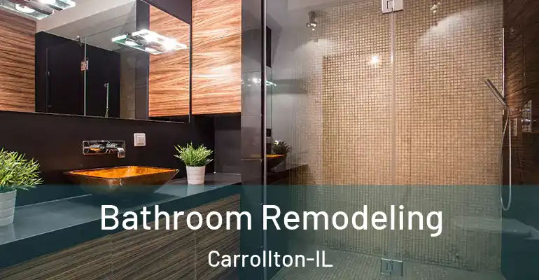inner Bathroom imggen Bathroom Remodeling Carrollton-IL