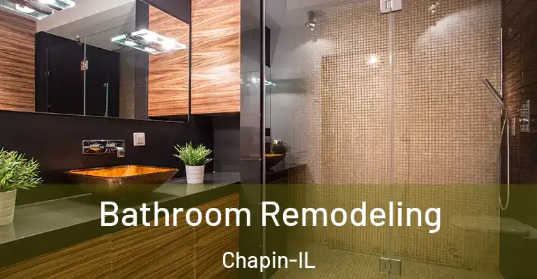 inner Bathroom imggen Bathroom Remodeling Chapin-IL