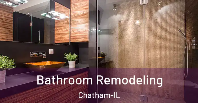 inner Bathroom imggen Bathroom Remodeling Chatham-IL
