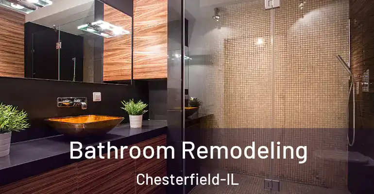 inner Bathroom imggen Bathroom Remodeling Chesterfield-IL
