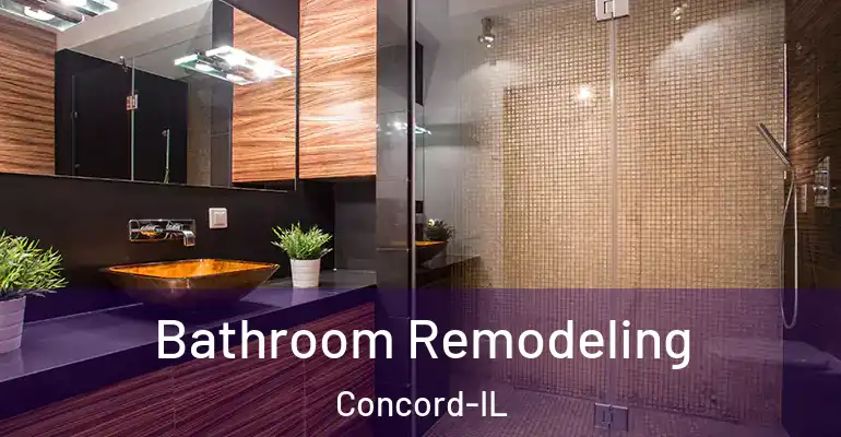 inner Bathroom imggen Bathroom Remodeling Concord-IL