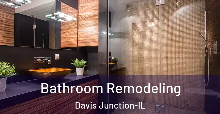 inner Bathroom imggen Bathroom Remodeling Davis Junction-IL