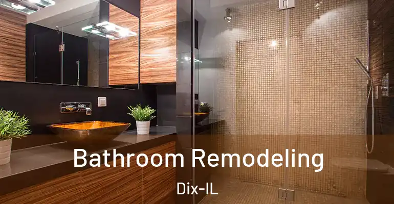 inner Bathroom imggen Bathroom Remodeling Dix-IL