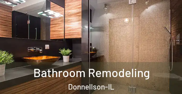 inner Bathroom imggen Bathroom Remodeling Donnellson-IL