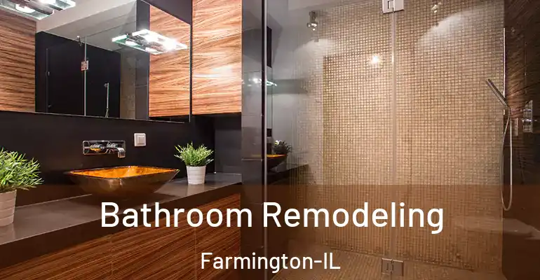inner Bathroom imggen Bathroom Remodeling Farmington-IL