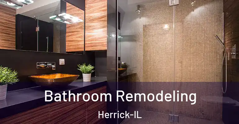 inner Bathroom imggen Bathroom Remodeling Herrick-IL