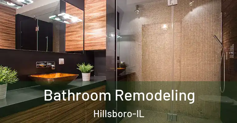 inner Bathroom imggen Bathroom Remodeling Hillsboro-IL