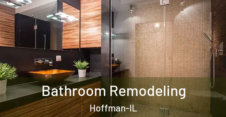 inner Bathroom imggen Bathroom Remodeling Hoffman-IL