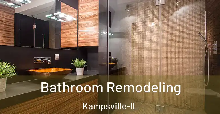 inner Bathroom imggen Bathroom Remodeling Kampsville-IL