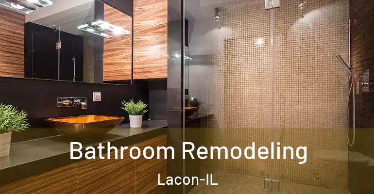 inner Bathroom imggen Bathroom Remodeling Lacon-IL