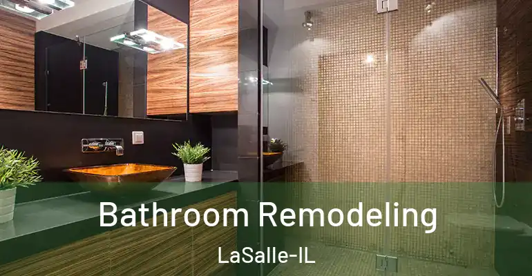 inner Bathroom imggen Bathroom Remodeling LaSalle-IL