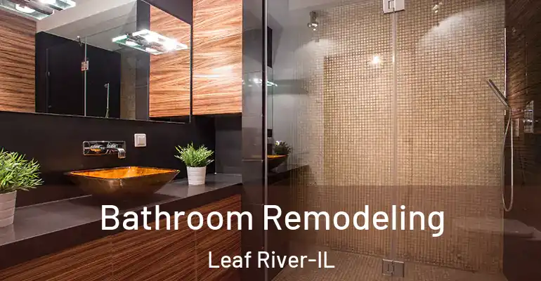 inner Bathroom imggen Bathroom Remodeling Leaf River-IL