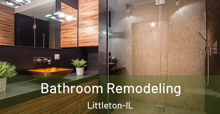 inner Bathroom imggen Bathroom Remodeling Littleton-IL