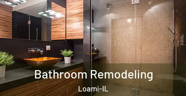 inner Bathroom imggen Bathroom Remodeling Loami-IL