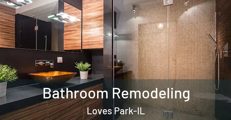 inner Bathroom imggen Bathroom Remodeling Loves Park-IL