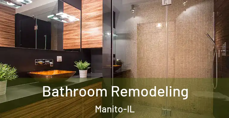 inner Bathroom imggen Bathroom Remodeling Manito-IL
