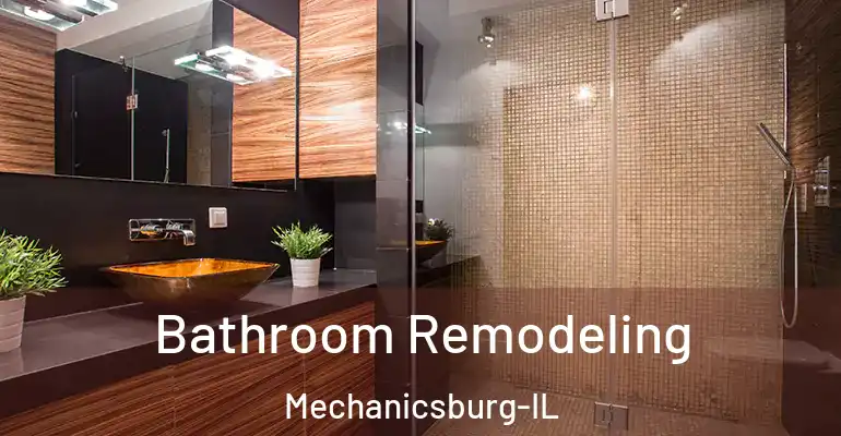 inner Bathroom imggen Bathroom Remodeling Mechanicsburg-IL