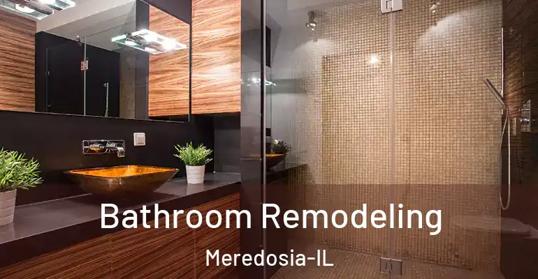 inner Bathroom imggen Bathroom Remodeling Meredosia-IL