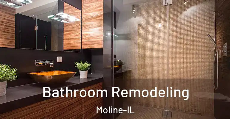 inner Bathroom imggen Bathroom Remodeling Moline-IL