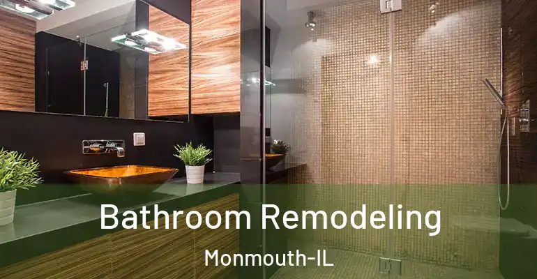 inner Bathroom imggen Bathroom Remodeling Monmouth-IL