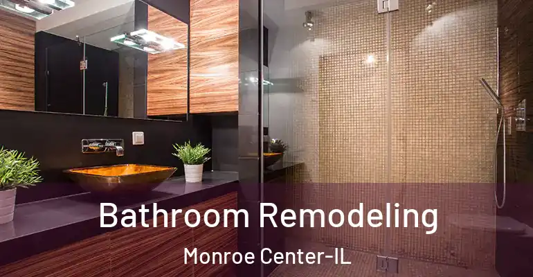 inner Bathroom imggen Bathroom Remodeling Monroe Center-IL