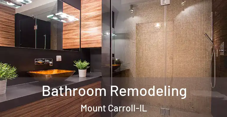inner Bathroom imggen Bathroom Remodeling Mount Carroll-IL