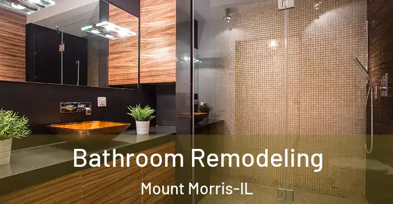 inner Bathroom imggen Bathroom Remodeling Mount Morris-IL