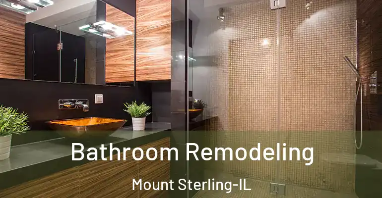 inner Bathroom imggen Bathroom Remodeling Mount Sterling-IL