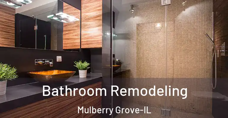 inner Bathroom imggen Bathroom Remodeling Mulberry Grove-IL