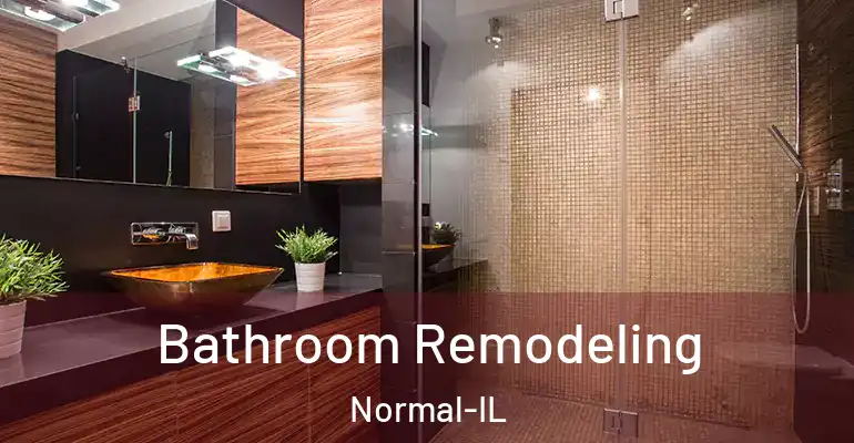 inner Bathroom imggen Bathroom Remodeling Normal-IL
