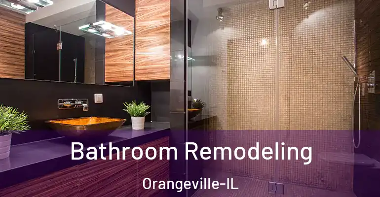 inner Bathroom imggen Bathroom Remodeling Orangeville-IL