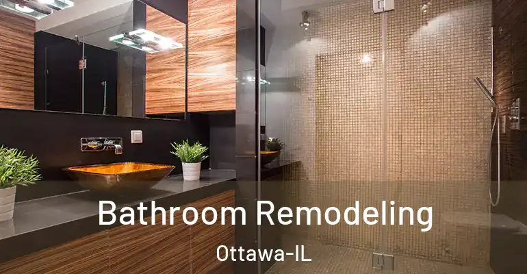 inner Bathroom imggen Bathroom Remodeling Ottawa-IL